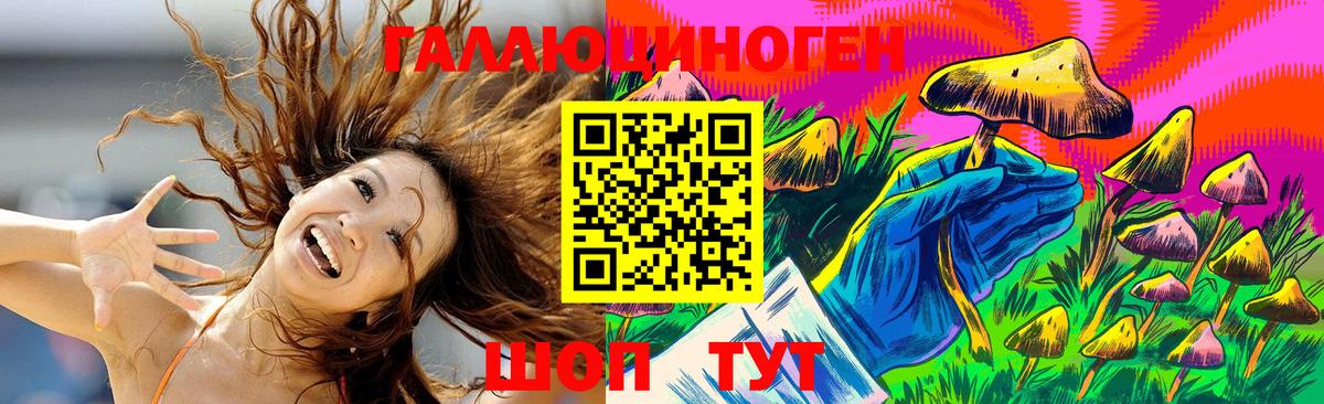 Галлюциногенные грибы мухоморы Балтийск