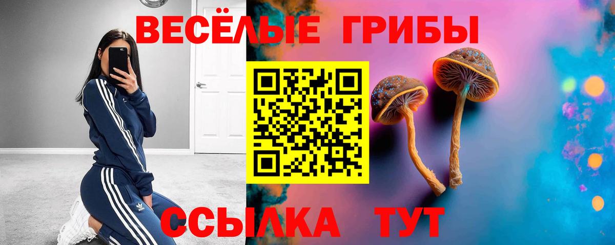 Балтийск  Псилоцибиновые грибы Cubensis  Вход с VPN 